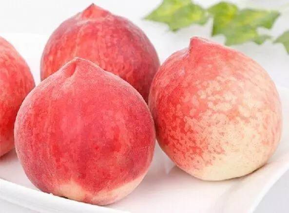 暗网爆料社区 暗网有序的爆料网络环境