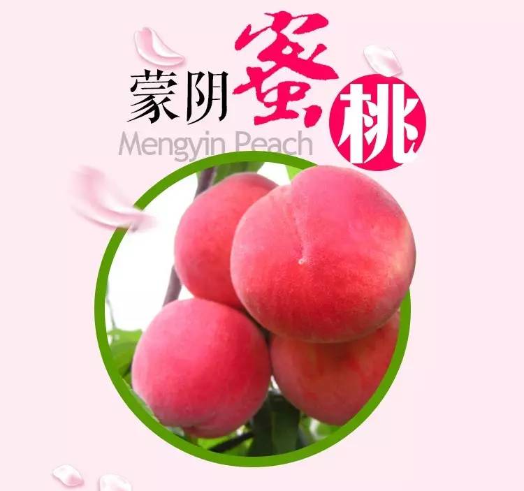 未成年少女，年轻男孩，越南海报