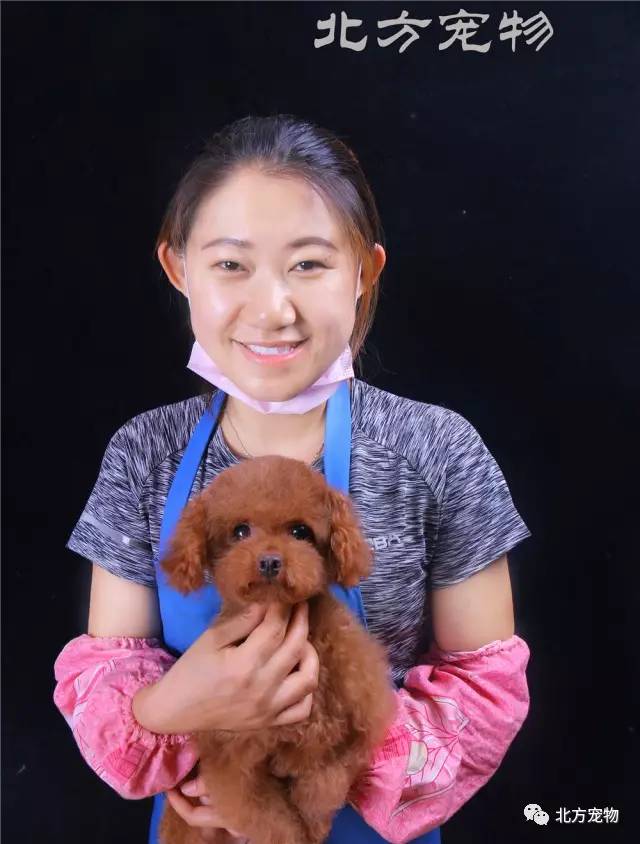 电影系列 电影系列都可以告诉我