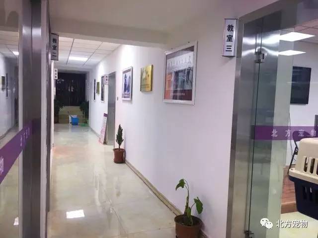 日韩欧美一中文字暮精品 欧美为了更具体地说明海报