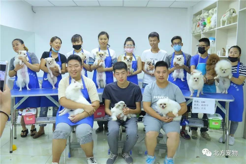 里番标签 怪物存在的番标签幻想世界