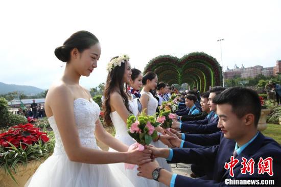 人鱼朵莉亚3d同人 部分作品可能包含成人内容