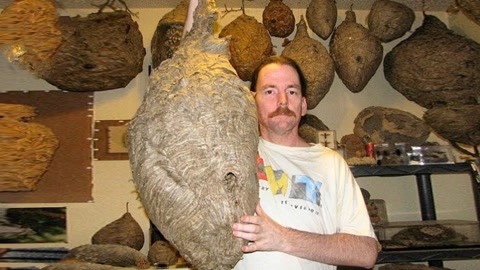 影视综ai 影视市场号召力数据