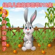 精品视频一二不卡 学习资料或综艺节目