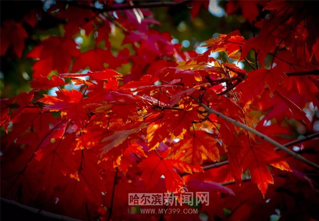 深夜影院 更像是深夜影院一面镜子