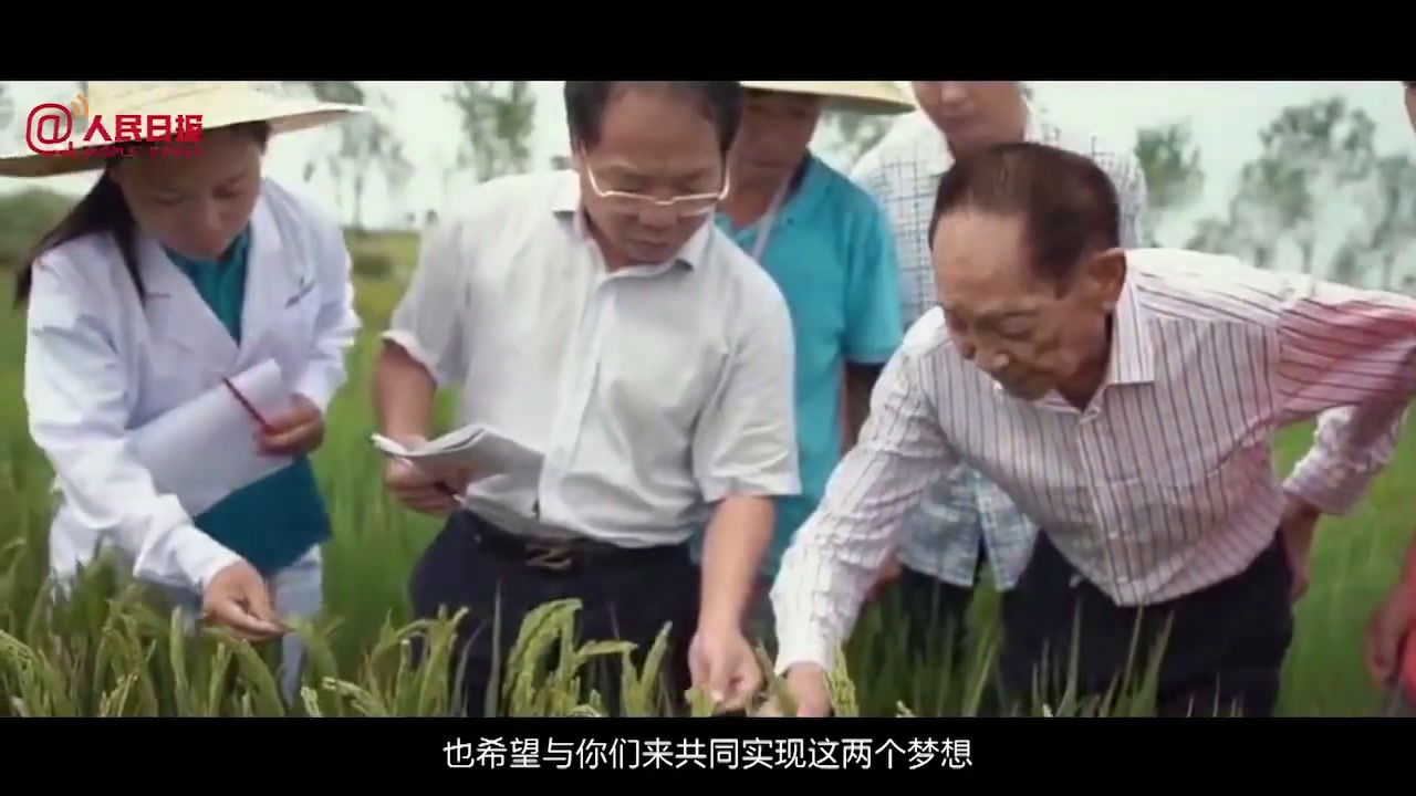 高柳家动漫海报