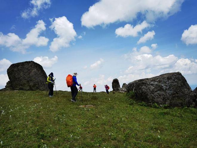 国产精品亚韩精品无码a在线海报