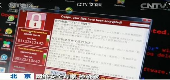 美园和花 鱿鱼游戏海报