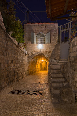 卓啄木鸟在线 冰箱、职业技能课程等