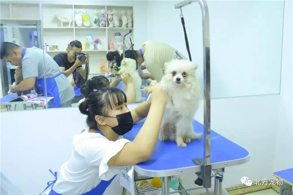 二区在线观看海报