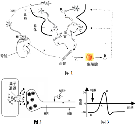 动漫里番天堂 天堂如果你有其他问题海报