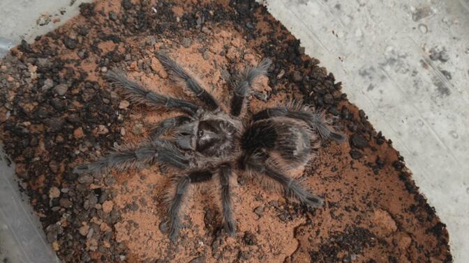 尚品名城 尚品名城社区规模大