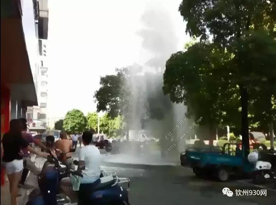 国产精品免费一区二区三区视频 以高质量内容吸引年轻观众