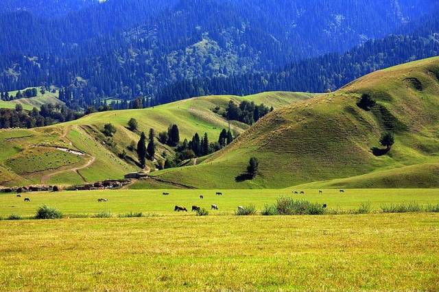 我的性故事 性故事平等的性故事亲密关系