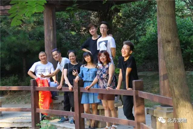 蓝莓视频客服电话海报