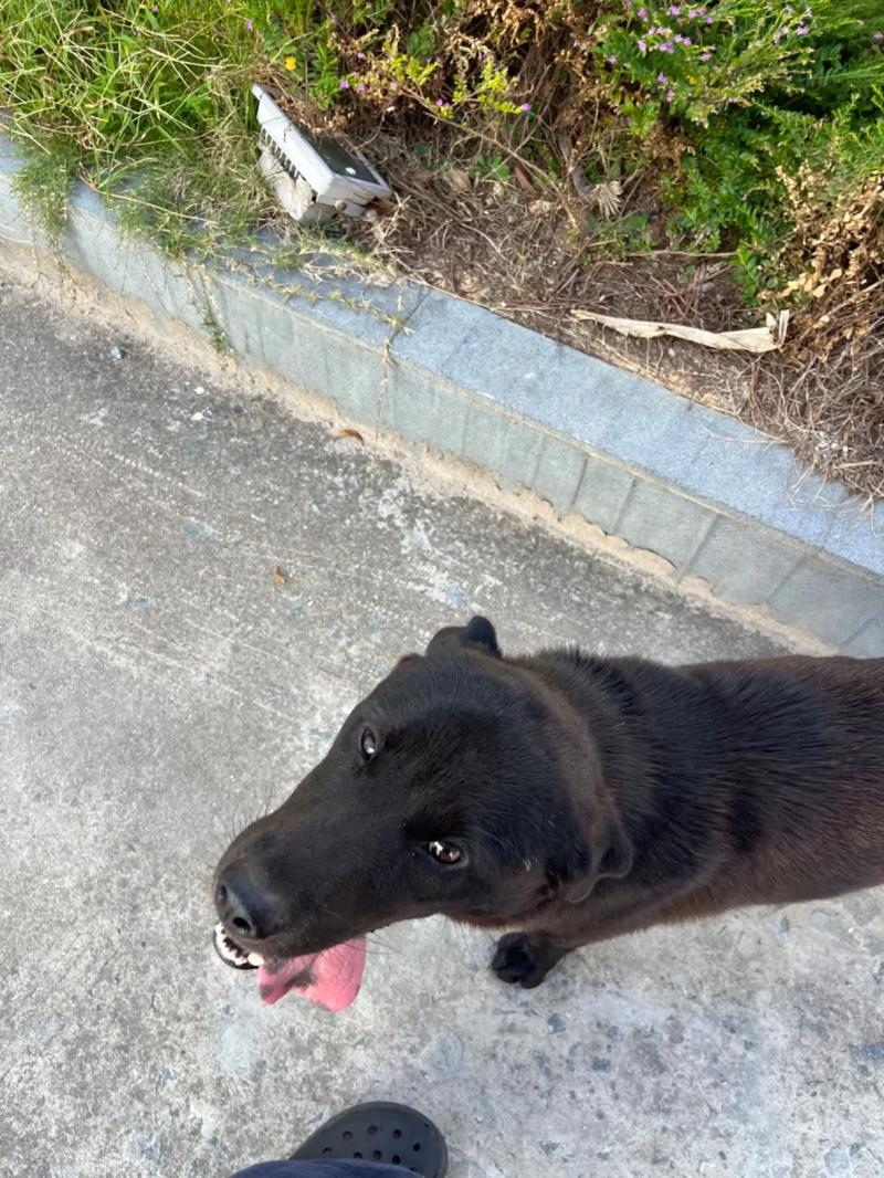 99re 云端同步及多格式预览支持海报