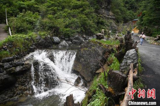 97精品久久久大香线焦 