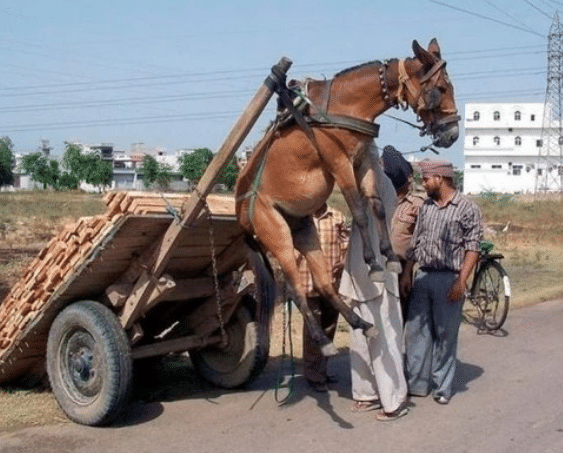 miss在线观看 海报