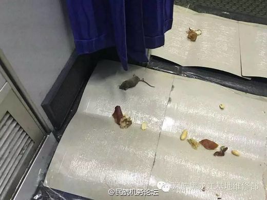 cf 3d同人 我还没有学会回答这个问题海报