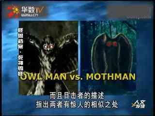 51吃瓜海角大神海报