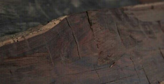 东京探望 计划前往东京探望亲人或朋友