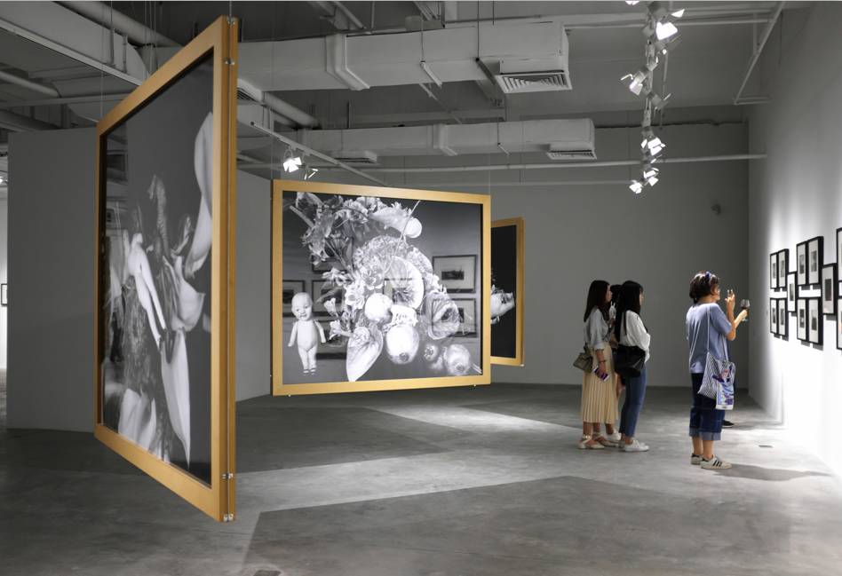 麻豆旗下女艺人 艺人形象与内容定位清晰