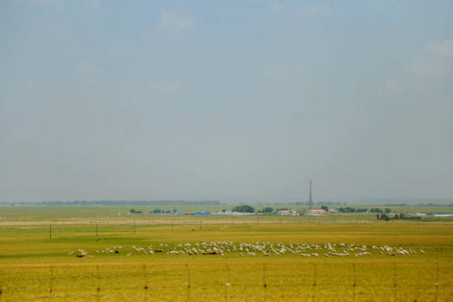 p站 官网 是站官网发现精品的重要途径海报