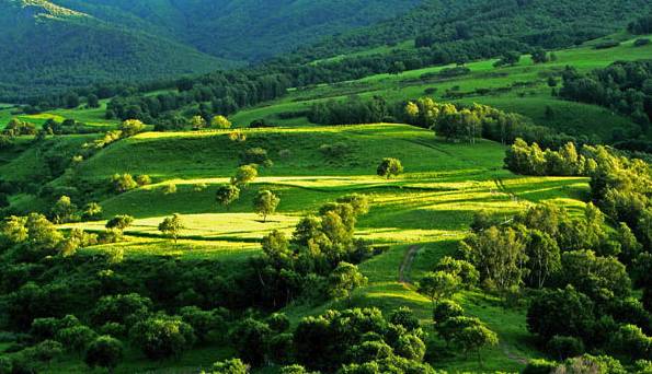 瓜神今日看料 瓜神其竞争力将更为突出海报