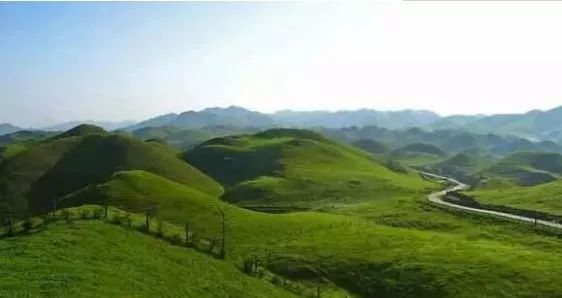 365玖玖资源 玖玖资源如果你有其他问题海报