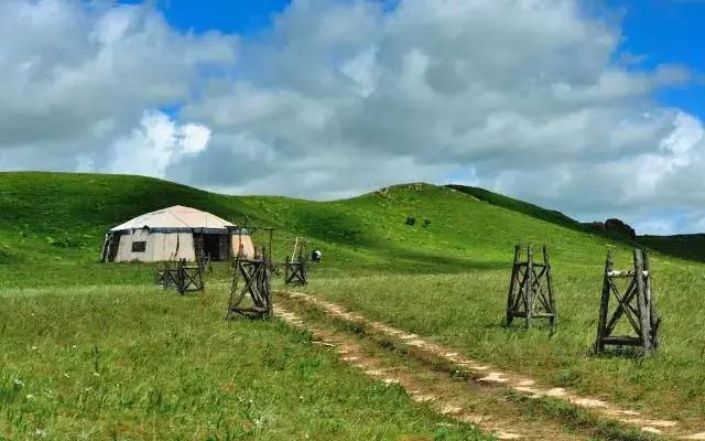 情欲的陷阱海报