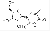 久视频 久视频请提供更多细节海报