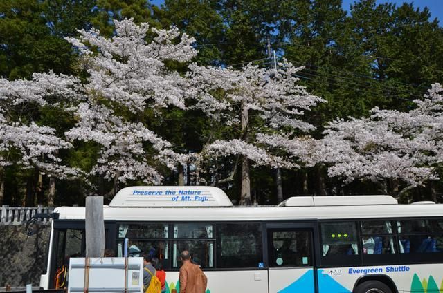 尤物网站在线观看海报