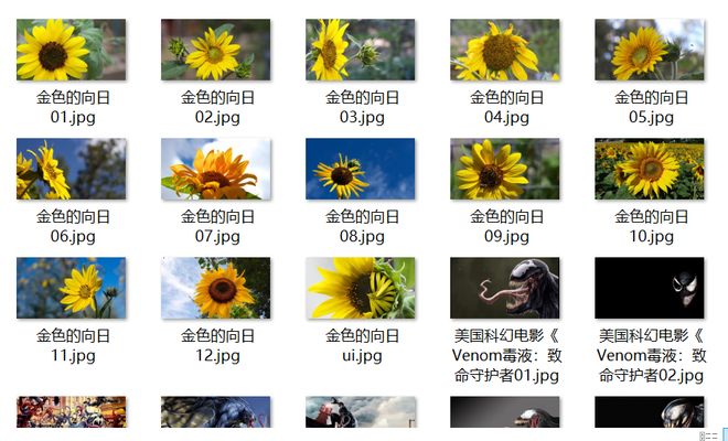 云缨的本子 我还没有学会回答这个问题