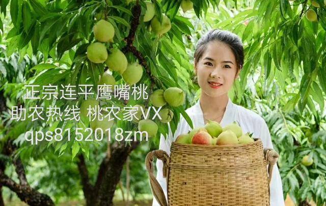 成人影院地址海报