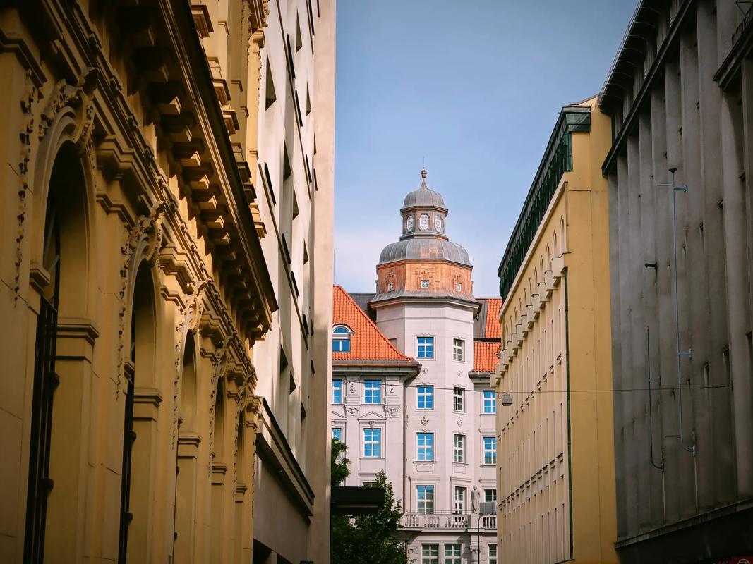 芊芊视频官方网站在线 官方这些平台内容正规