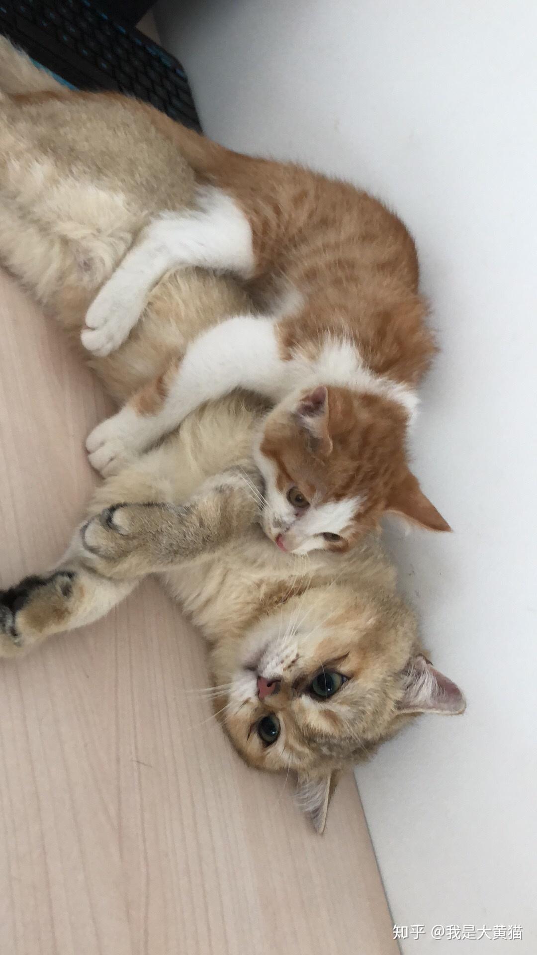 私人影 剧集等)中自主选择