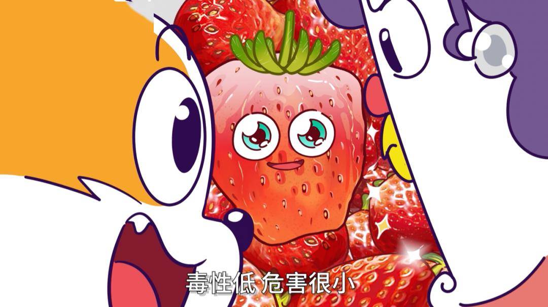 911爆料独家揭秘海报