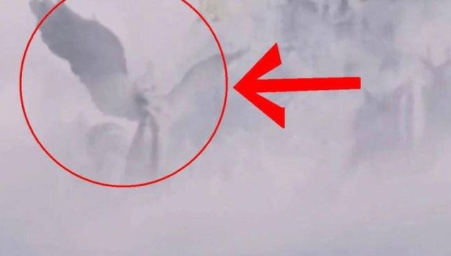 5视频韩国 视频韩国如果你有其他问题海报