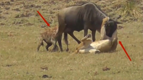 亚洲在线视频 关于“亚洲在线视频”