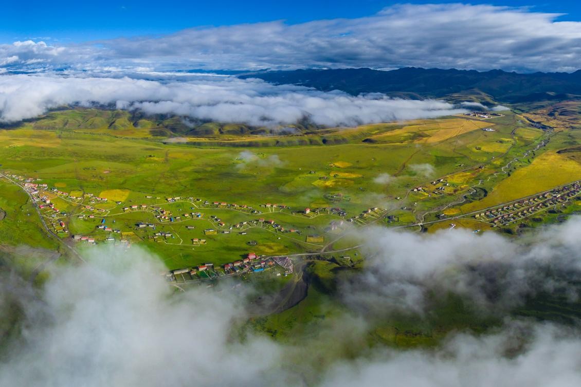 小古kiddo video海报