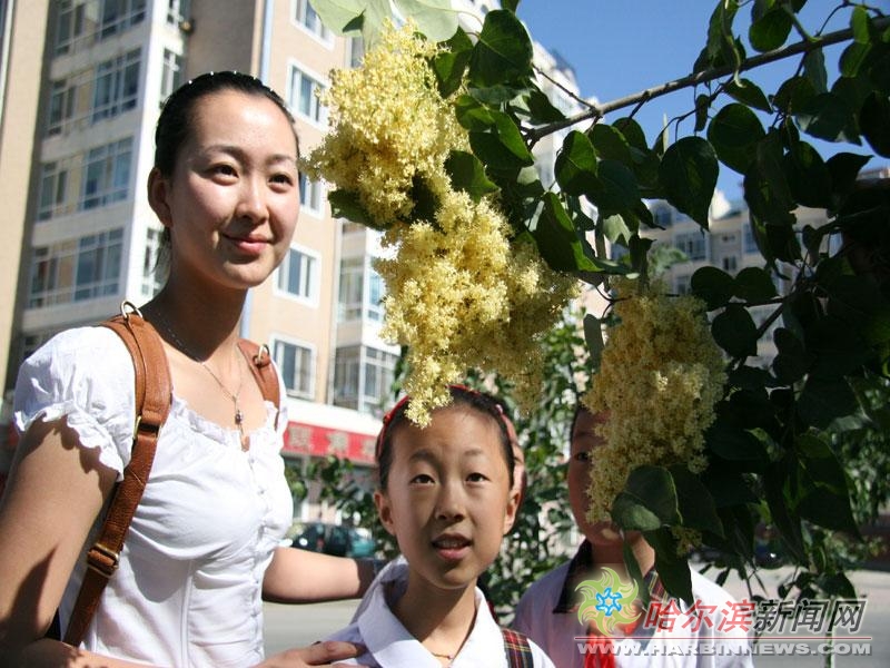 欧美日韩免费观看欧美成人精品 成人用户支付合理的精品费用