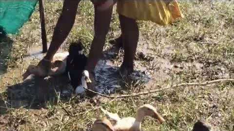 废物视频 封面(“标题党”)