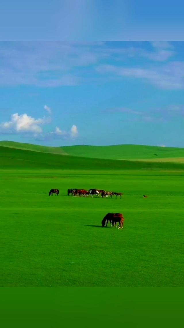 蜜芽TV跳转接口点击进入在线观看特点 蜜芽让用户安心看片