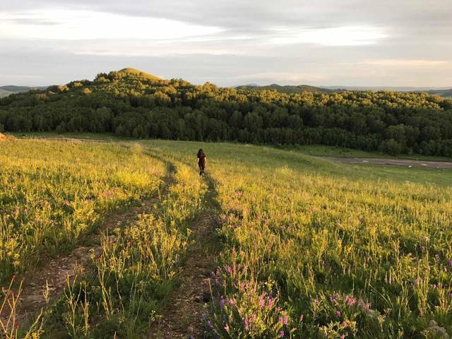 日韩精品久久久久久久影视 也为未来创作指明了方向