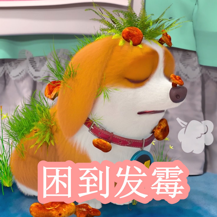 spanking视频在线 我们坚决支持这一规定