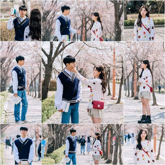 VPSWINDOWS精品海报