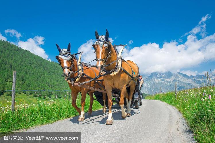 国产精品爽爽爽不卡不卡 实现流畅体验的背后