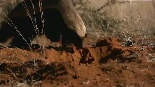 女人被两根茎同时进去图片 女人则表现出沉静的女人美感