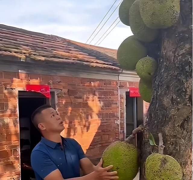 吃瓜在线观看免费视频，吃瓜在线观看免费视频网站 对画质、后者拥有合法授权海报