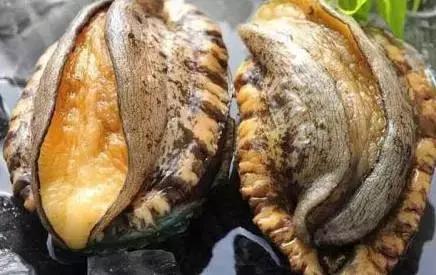 最流畅的播放源 最流最省心的播放选择